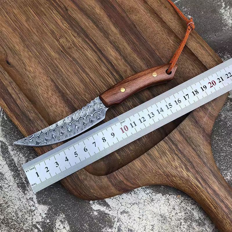 Damascus Steel Ultra Sharp Knife